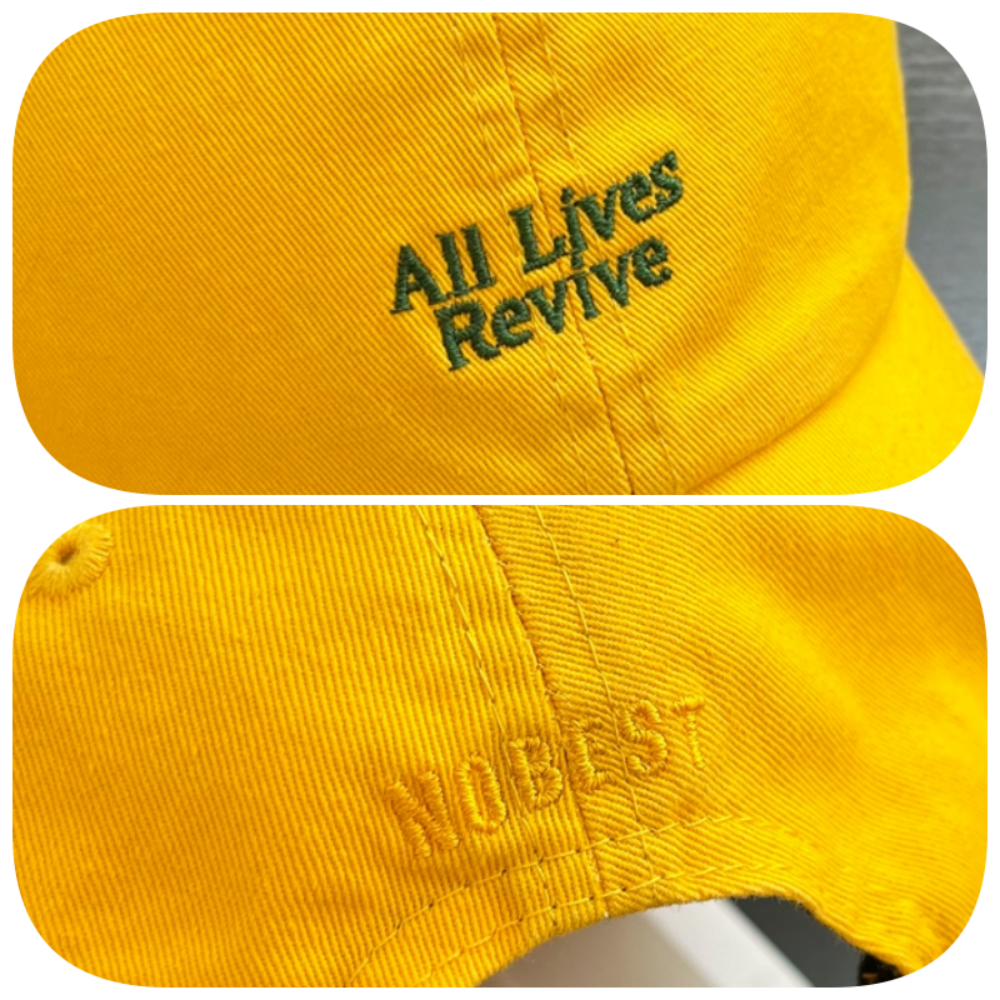 Embroidered cap HS1031